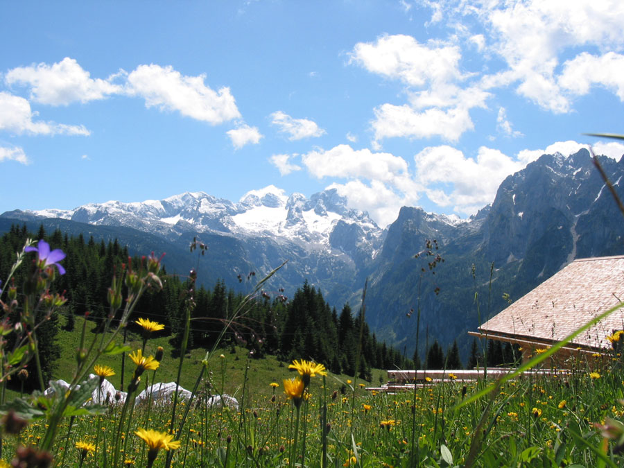 edtalm-salzburg-natur.jpg